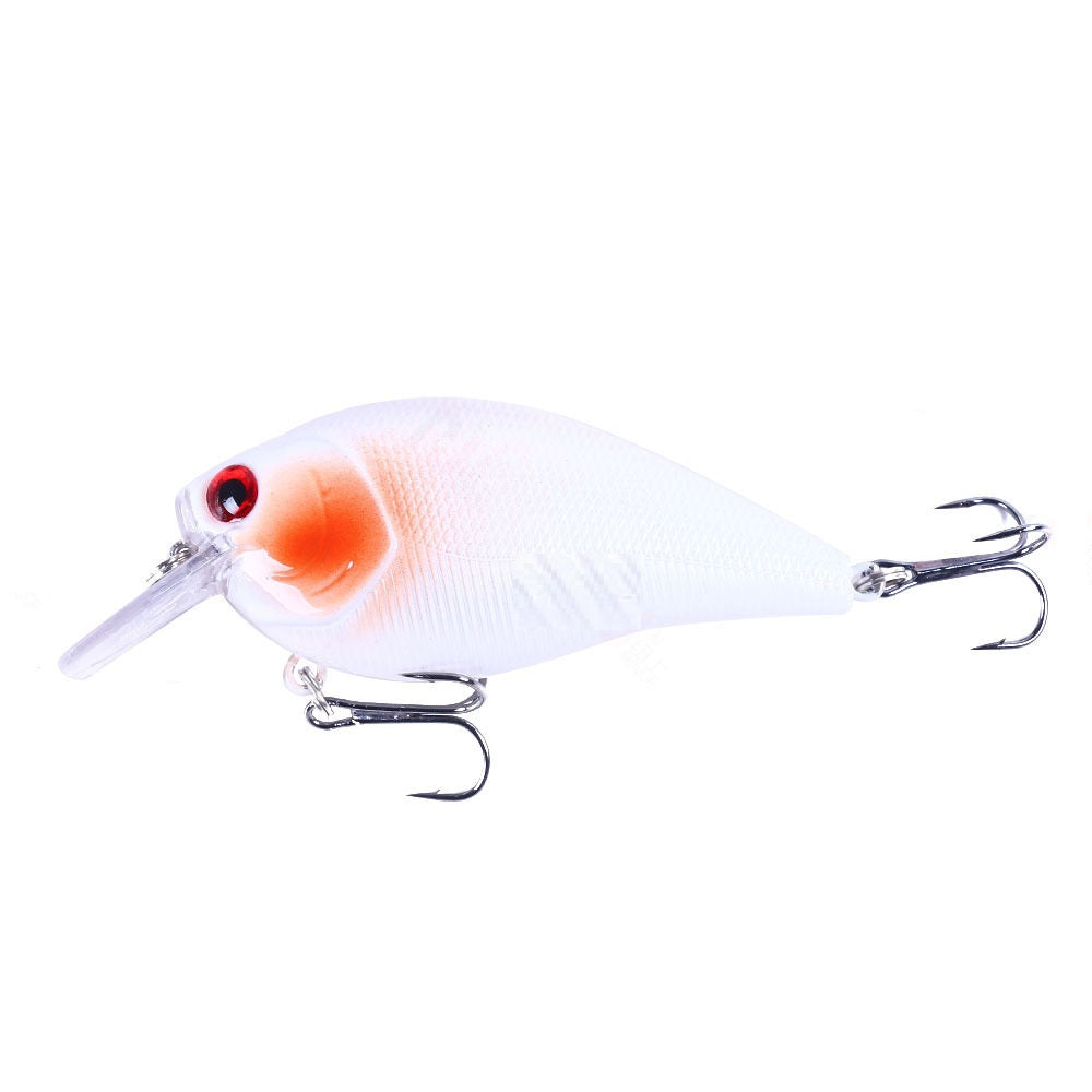 Fishing Lures Tackle