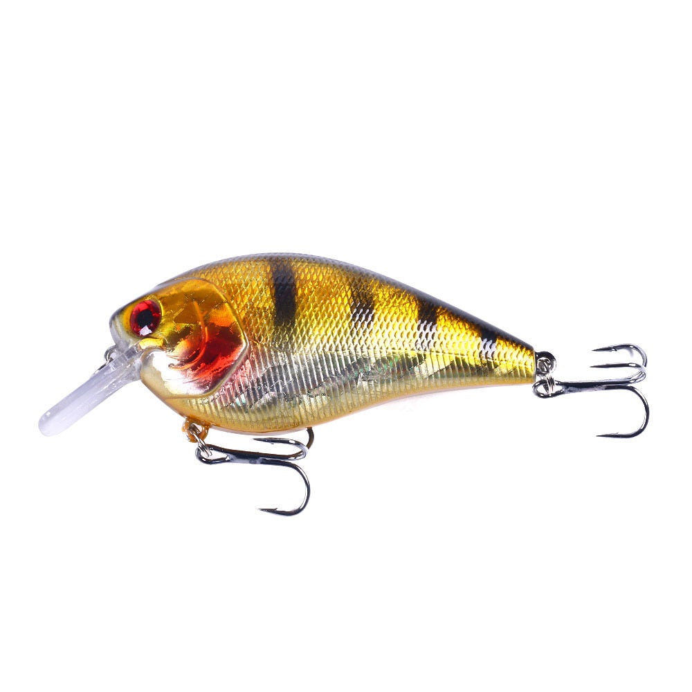 Fishing Lures Tackle